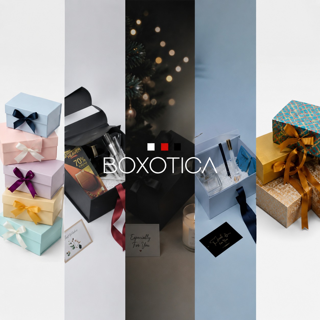 BOXOTICA