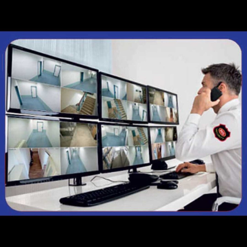 Electronic security surveillance services